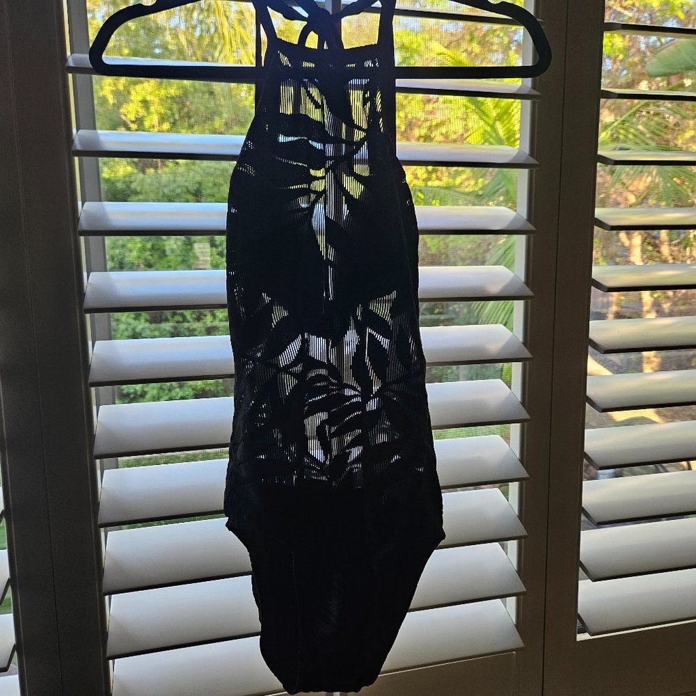 Robbin Piccone one piece see thru bathing suit